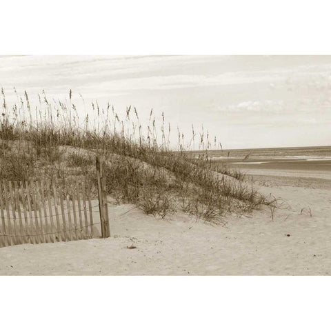 In the Dunes 1  Black Modern Wood Framed Art Print with Double Matting by Amber Light Gallery