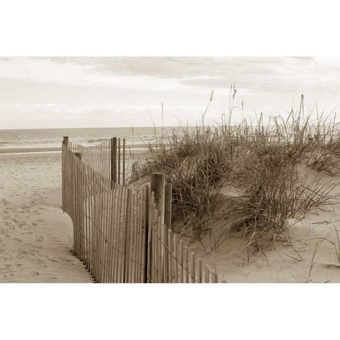 In the Dunes 2 Gold Ornate Wood Framed Art Print with Double Matting by Amber Light Gallery