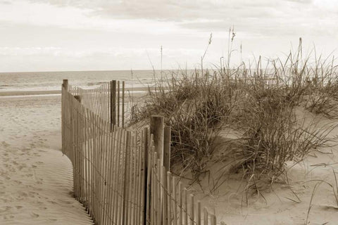 In the Dunes 2 White Modern Wood Framed Art Print with Double Matting by Amber Light Gallery