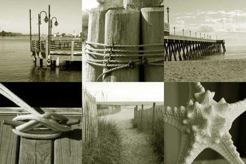 Seaside Story 1 Black Ornate Wood Framed Art Print with Double Matting by Amber Light Gallery