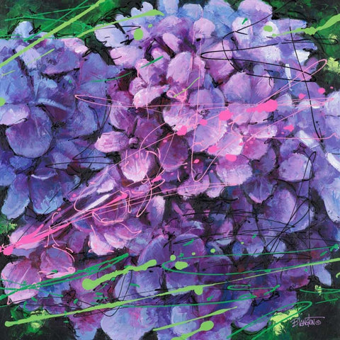 Hydrangea in Motion Black Modern Wood Framed Art Print with Double Matting by Langton, Bruce