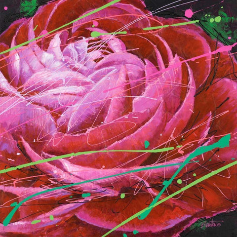 Ranunculus in Motion Black Modern Wood Framed Art Print with Double Matting by Langton, Bruce