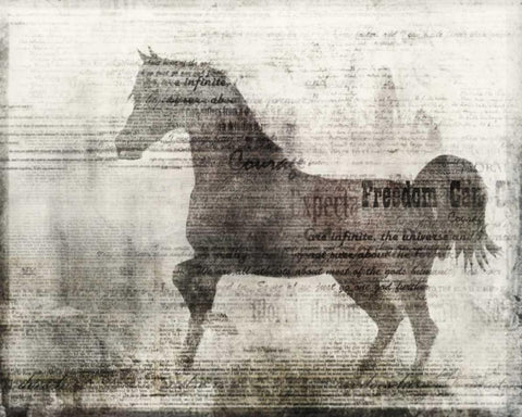 Freedom White Modern Wood Framed Art Print with Double Matting by Roko, Ken