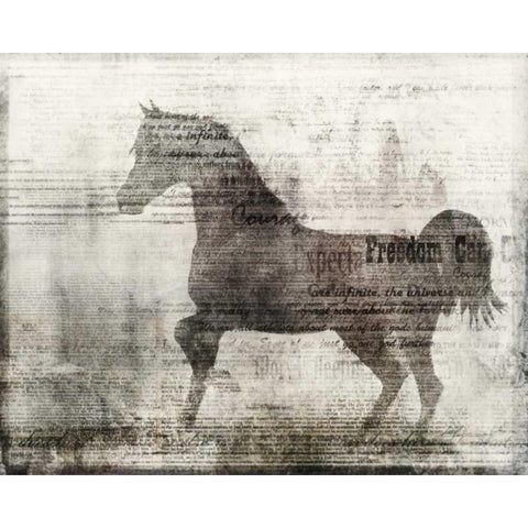 Freedom Black Modern Wood Framed Art Print with Double Matting by Roko, Ken