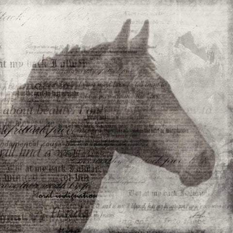 Equestrian Story 1  Black Modern Wood Framed Art Print with Double Matting by Roko, Ken