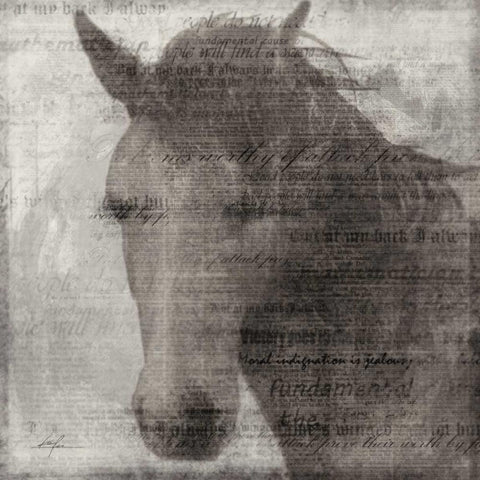 Equestrian Story 2 Black Modern Wood Framed Art Print by Roko, Ken