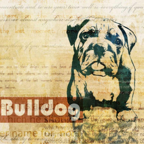 Bulldog Sketch Black Ornate Wood Framed Art Print with Double Matting by Roko, Ken