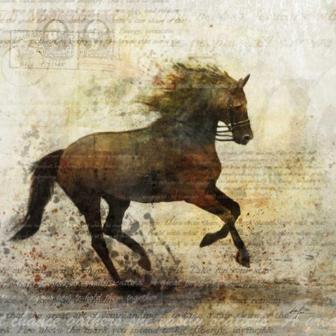 Horse Dance 1 White Modern Wood Framed Art Print with Double Matting by Roko, Ken