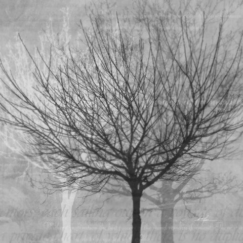 Winter Silhouette 1 Black Modern Wood Framed Art Print with Double Matting by Roko, Ken