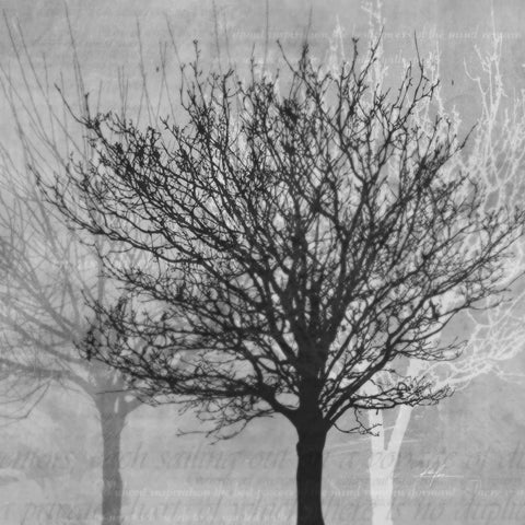 Winter Silhouette 2 Black Ornate Wood Framed Art Print with Double Matting by Roko, Ken