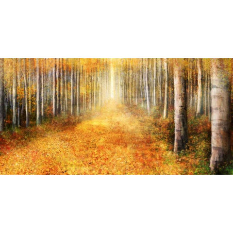 Yellow Path 1 Gold Ornate Wood Framed Art Print with Double Matting by Roko, Ken