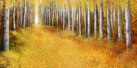 Yellow Path 2 Black Ornate Wood Framed Art Print with Double Matting by Roko, Ken