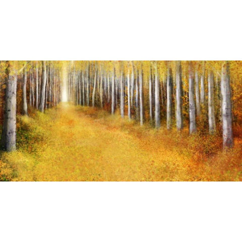 Yellow Path 2 Black Modern Wood Framed Art Print with Double Matting by Roko, Ken