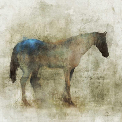 Lone Star 1 Black Modern Wood Framed Art Print by Roko, Ken