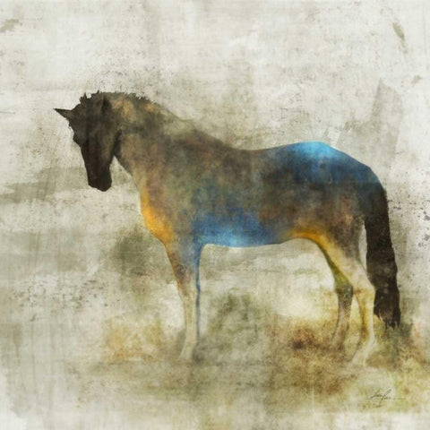 Lone Star 4 Black Modern Wood Framed Art Print by Roko, Ken