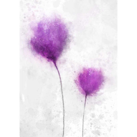 Eternal Spring 1 Black Modern Wood Framed Art Print with Double Matting by Roko, Ken