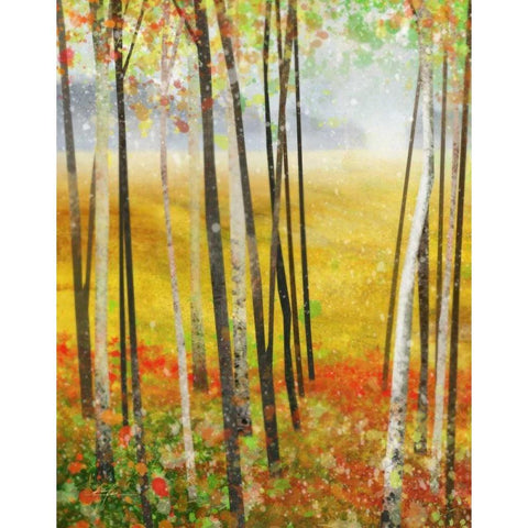 Autumn Meadows 1  Black Modern Wood Framed Art Print with Double Matting by Roko, Ken