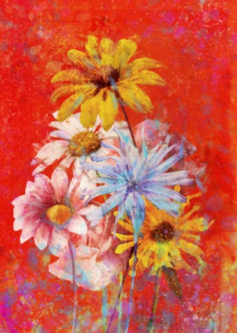 Vibrant Posies 1 White Modern Wood Framed Art Print with Double Matting by Roko, Ken