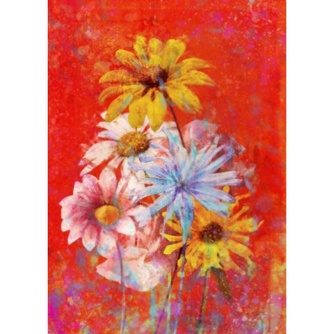 Vibrant Posies 1 Black Modern Wood Framed Art Print with Double Matting by Roko, Ken