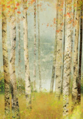 Yellow Birch 1 White Modern Wood Framed Art Print with Double Matting by Roko, Ken
