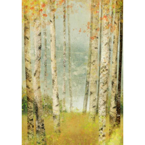 Yellow Birch 1 Black Modern Wood Framed Art Print with Double Matting by Roko, Ken