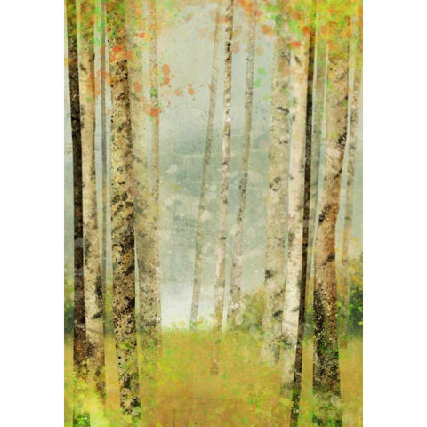 Yellow Birch 2 White Modern Wood Framed Art Print by Roko, Ken