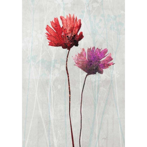 Blush Blooms 1 Black Modern Wood Framed Art Print by Roko, Ken
