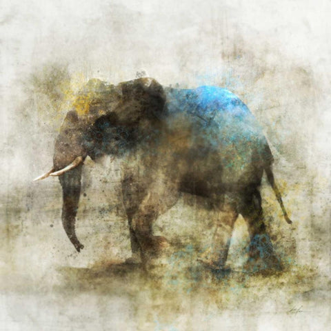 Pachyderm Dance 2 Black Modern Wood Framed Art Print by Roko, Ken