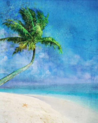 Palm Beach and Starfish White Modern Wood Framed Art Print with Double Matting by Roko, Ken