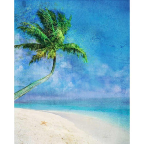 Palm Beach and Starfish Black Modern Wood Framed Art Print with Double Matting by Roko, Ken