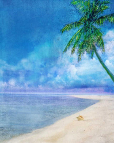 Palm Beach and Shell White Modern Wood Framed Art Print with Double Matting by Roko, Ken