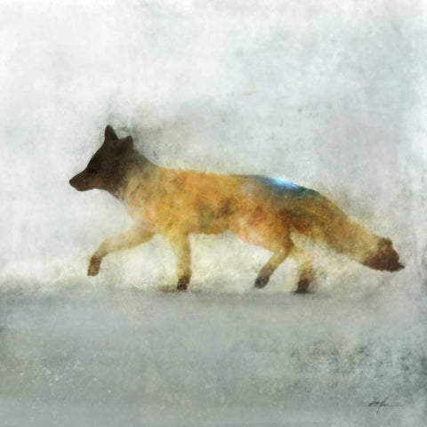 Fox Hunt 1 Black Modern Wood Framed Art Print with Double Matting by Roko, Ken