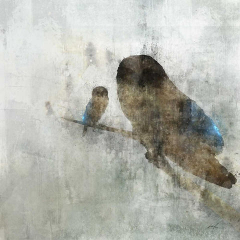 Mama Owl and Baby Black Modern Wood Framed Art Print with Double Matting by Roko, Ken