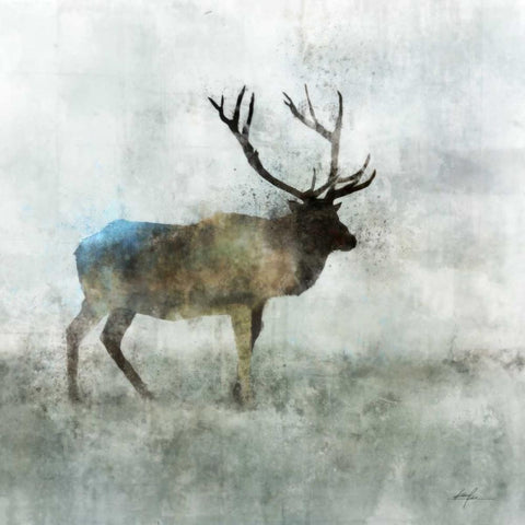 Solo Stag White Modern Wood Framed Art Print by Roko, Ken