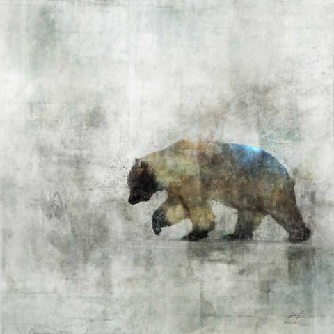 Bear Spring White Modern Wood Framed Art Print with Double Matting by Roko, Ken