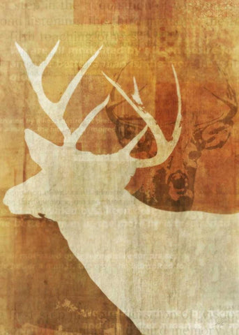 Whitetail Deer Black Ornate Wood Framed Art Print with Double Matting by Roko, Ken