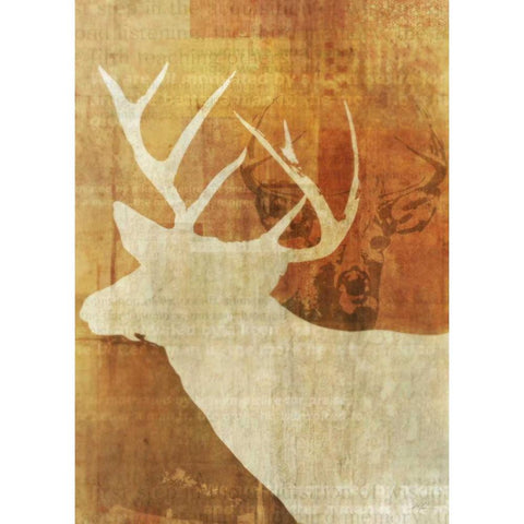 Whitetail Deer White Modern Wood Framed Art Print by Roko, Ken
