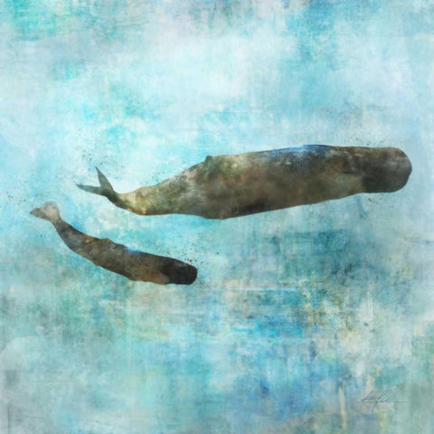 Ocean Whale 2 Black Ornate Wood Framed Art Print with Double Matting by Roko, Ken