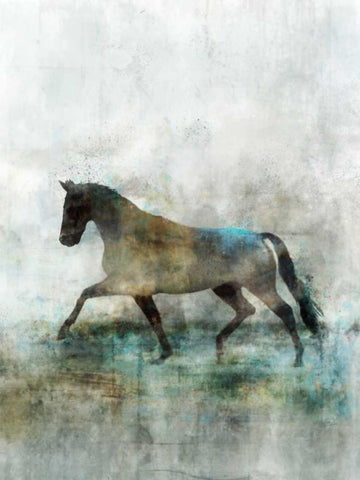 Lonestar 1 Black Ornate Wood Framed Art Print with Double Matting by Roko, Ken