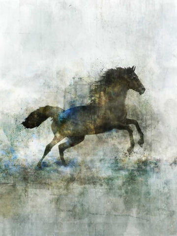 Lonestar 2 Black Ornate Wood Framed Art Print with Double Matting by Roko, Ken