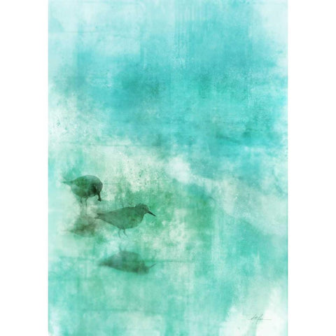 Seashore Stroll 1 Black Modern Wood Framed Art Print by Roko, Ken