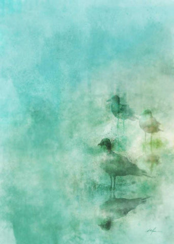 Seashore Stroll 2 White Modern Wood Framed Art Print with Double Matting by Roko, Ken