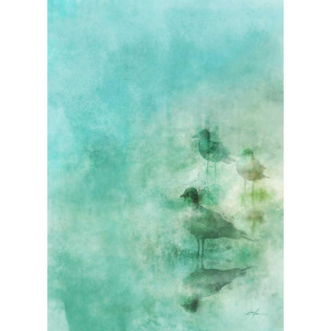 Seashore Stroll 2 Black Modern Wood Framed Art Print with Double Matting by Roko, Ken