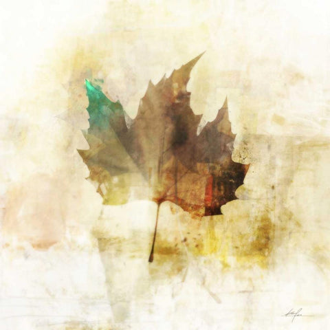 Falling Maple Leaf 1 White Modern Wood Framed Art Print with Double Matting by Roko, Ken