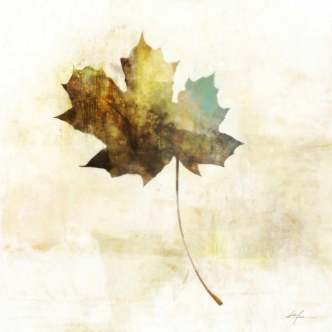 Falling Maple Leaf 2 Black Modern Wood Framed Art Print by Roko, Ken