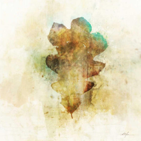 Falling Oak Leaf White Modern Wood Framed Art Print with Double Matting by Roko, Ken