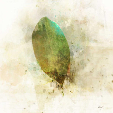 Falling Birch Leaf White Modern Wood Framed Art Print by Roko, Ken