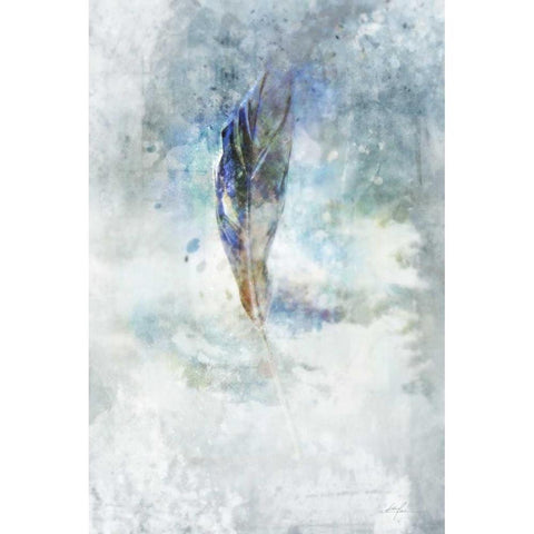 Celestial Feather 2 Black Modern Wood Framed Art Print with Double Matting by Roko, Ken
