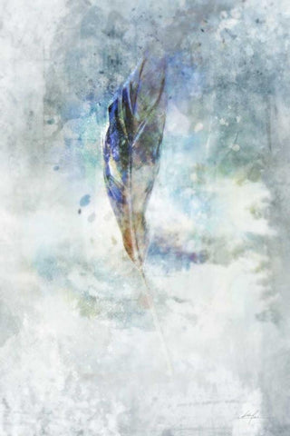 Celestial Feather 2 White Modern Wood Framed Art Print with Double Matting by Roko, Ken