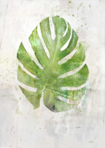 Textured Split Leaf Palm White Modern Wood Framed Art Print with Double Matting by Roko, Ken